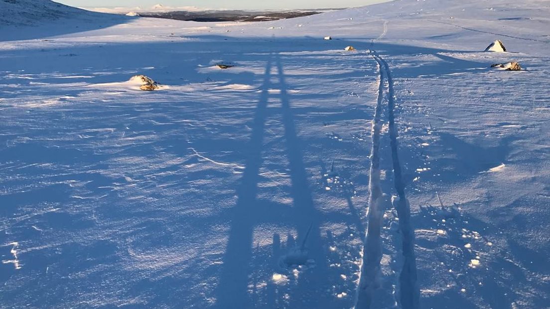 Skispor og skygge av en person i låg kveldssol over snøen