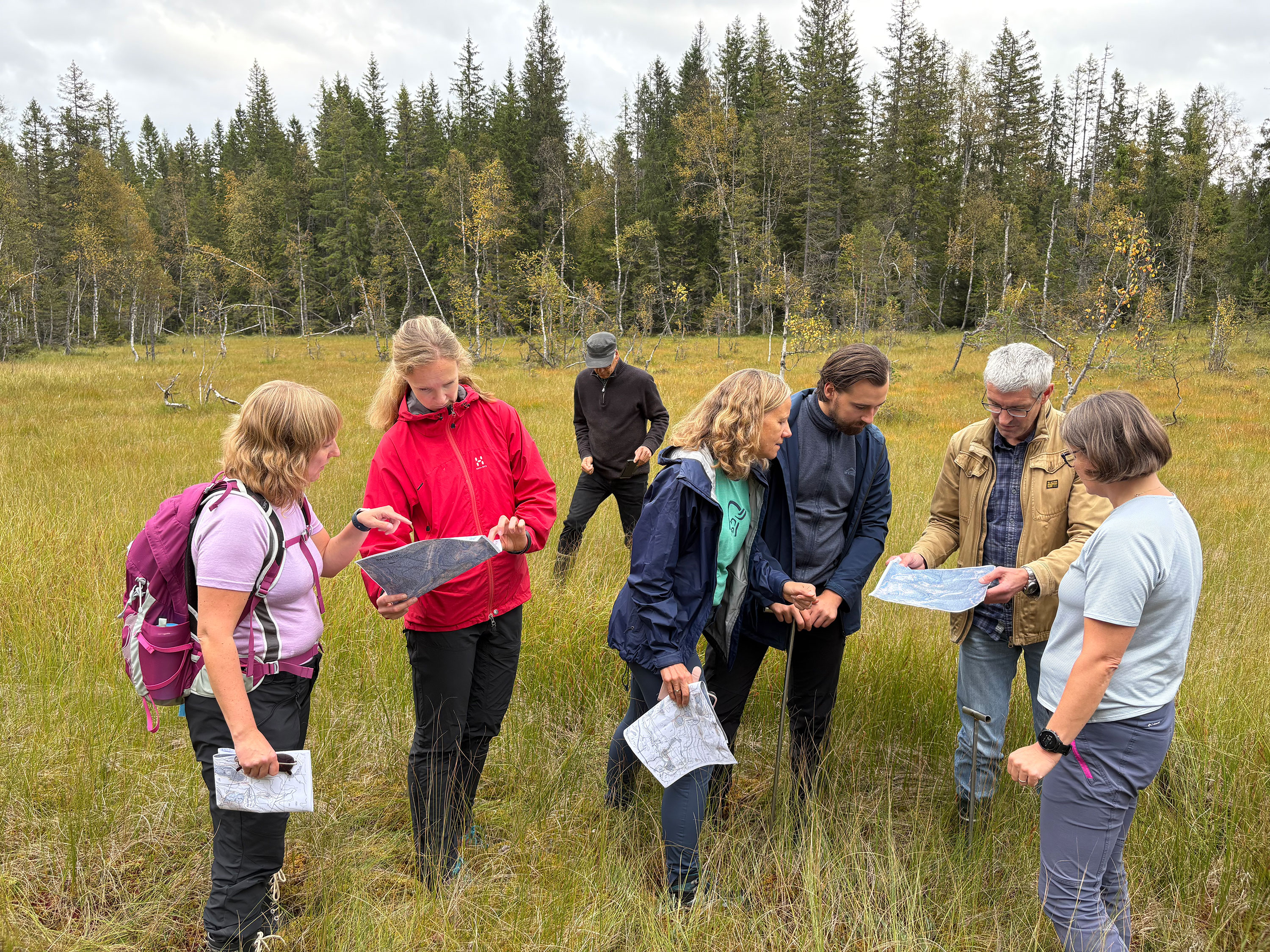 En gruppe personer ser p&aring; et kart mens de st&aring;r i ei myr