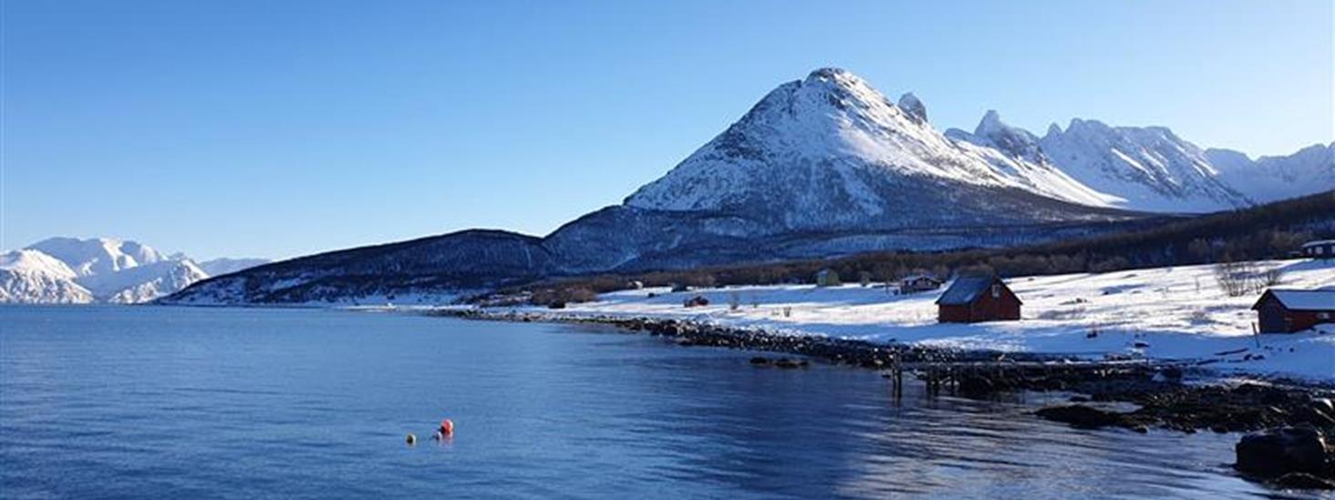 Vinterlandskap fra kysten i Skjervøy i Troms. Foto: Julianne Wilhelmsen/Kartverket