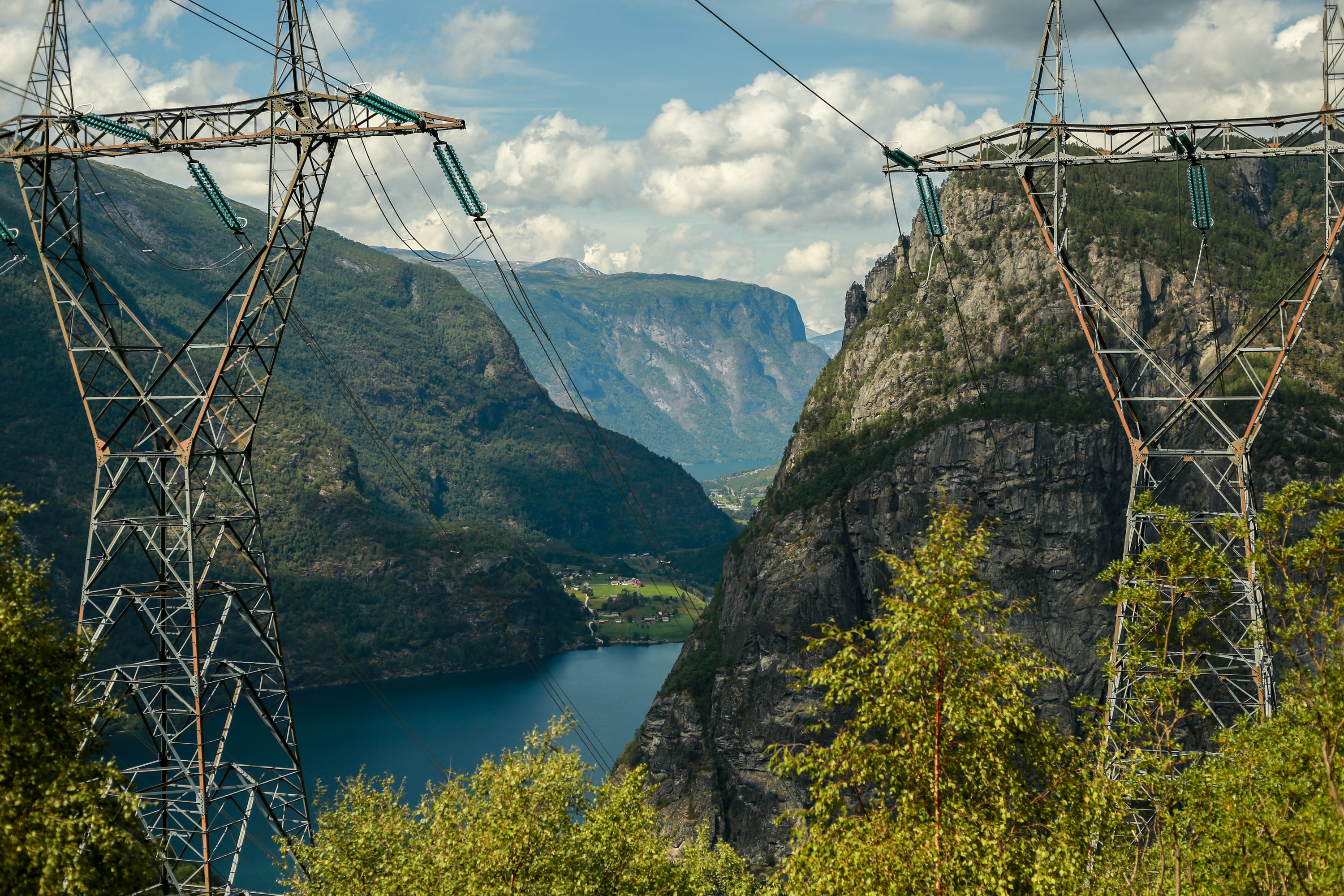 H&oslash;yspentmaster gjennom skoglandskap med &aring;ser