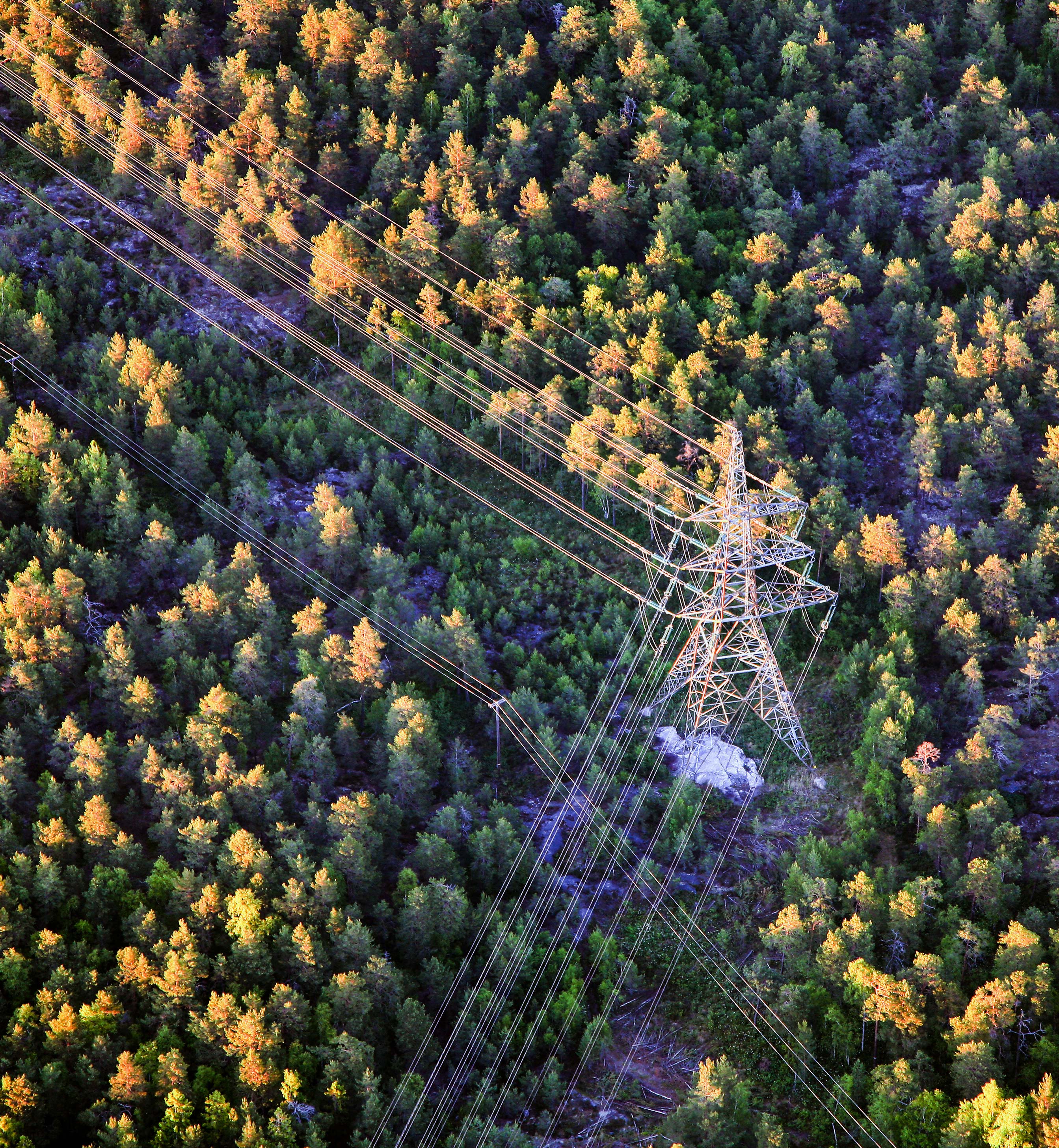 Høyspentmaster fotografert ovenfra med granskog og lauvskog i høstfarger.