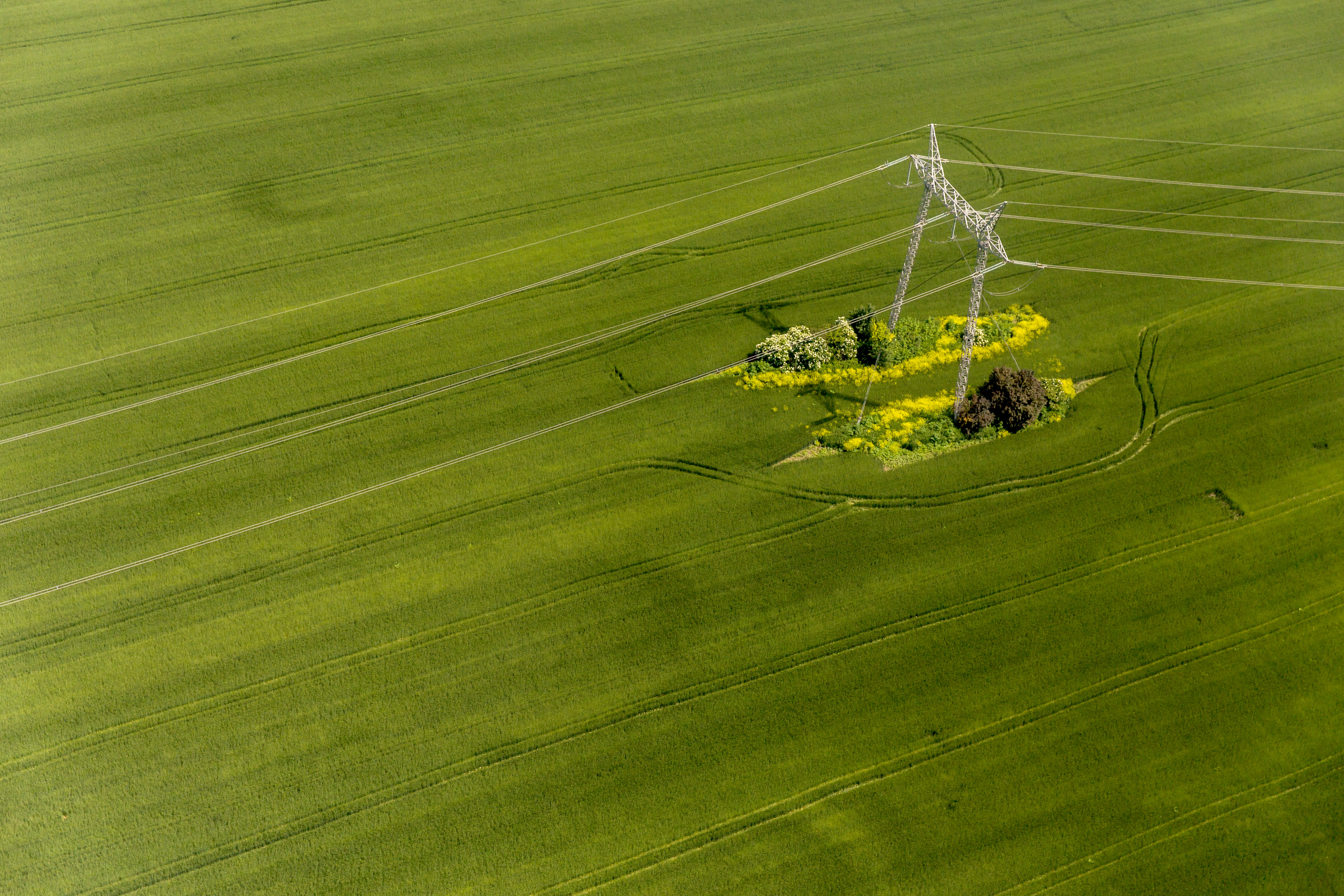 Ei høyspentmast og kraftlinjer fotografert fra lufta. Masta står midt i en åker der det vokser grønne spirer, mens det er gule blomster rundt sokkelen til masta.