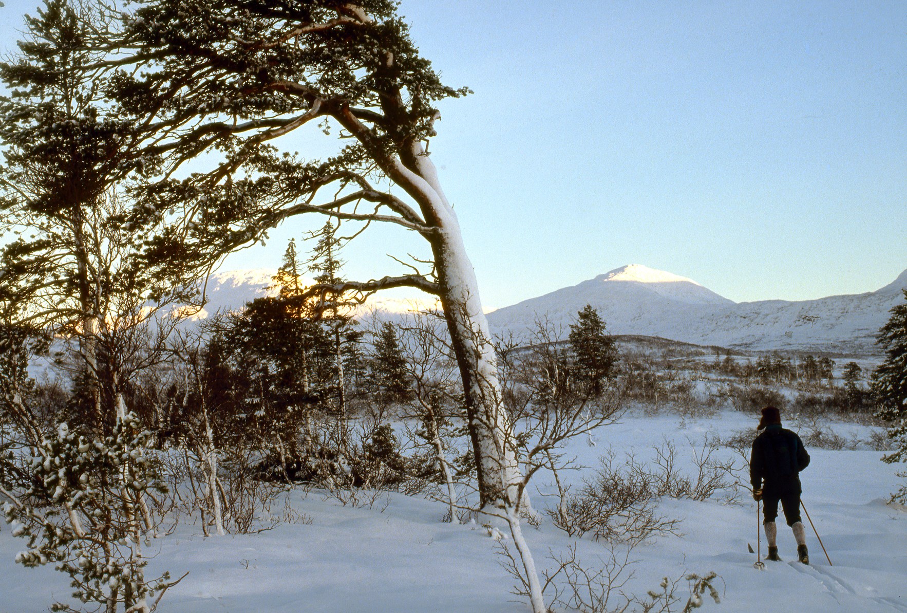 Norges midtpunkt ved Skjækra i Trøndelag. foto: Åsgeir Størdal.jpg