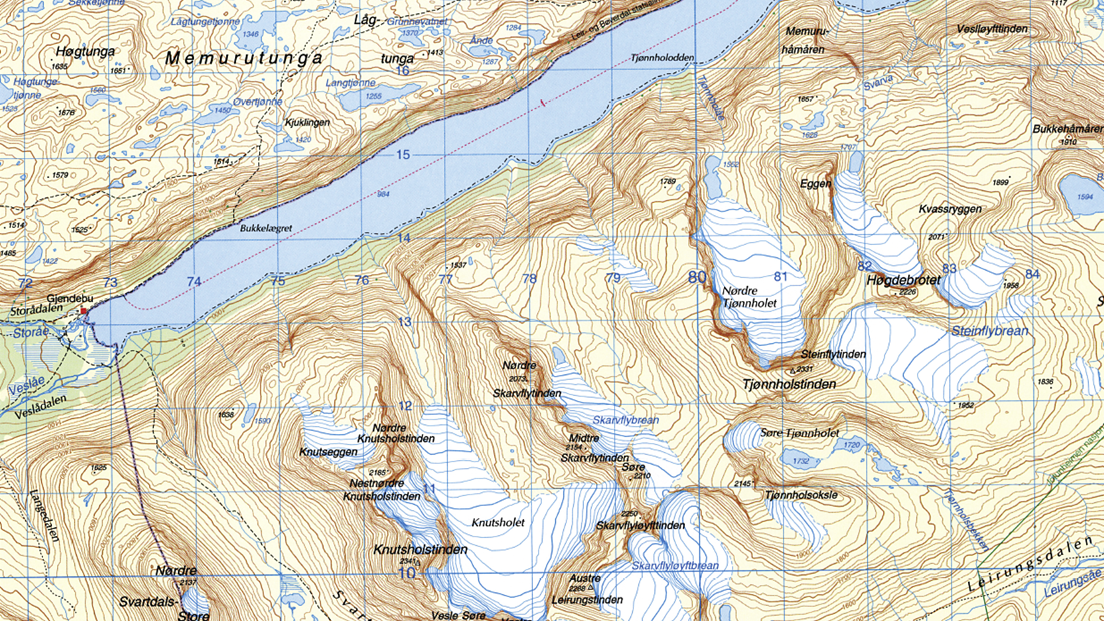 Kartutsnitt fra Gjende fra 2007