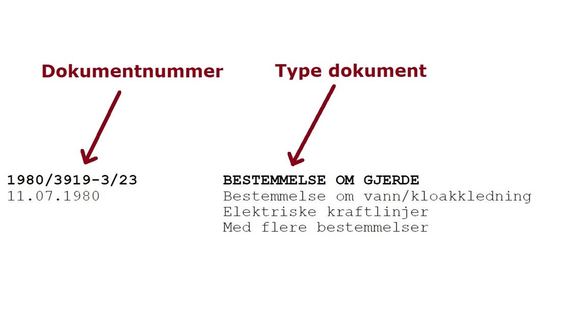 Eksempel som viser hvordan dokumentnummer og type dokument angis i grunnbokutskriften